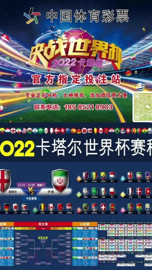 世界杯滚球投注稳赢计划