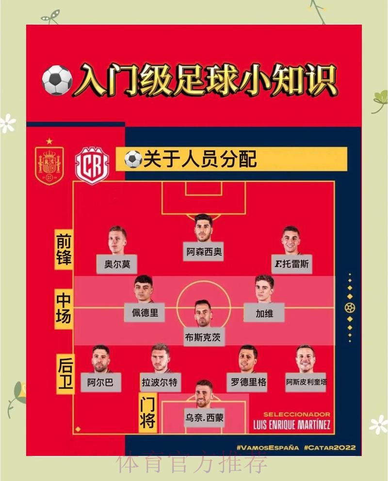 全面解析世界杯让球站背后的奥秘